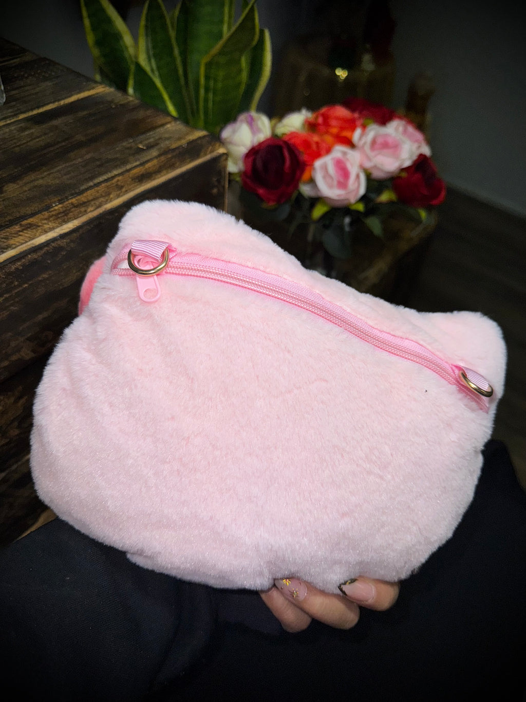 Hello Kitty Bag Pillow