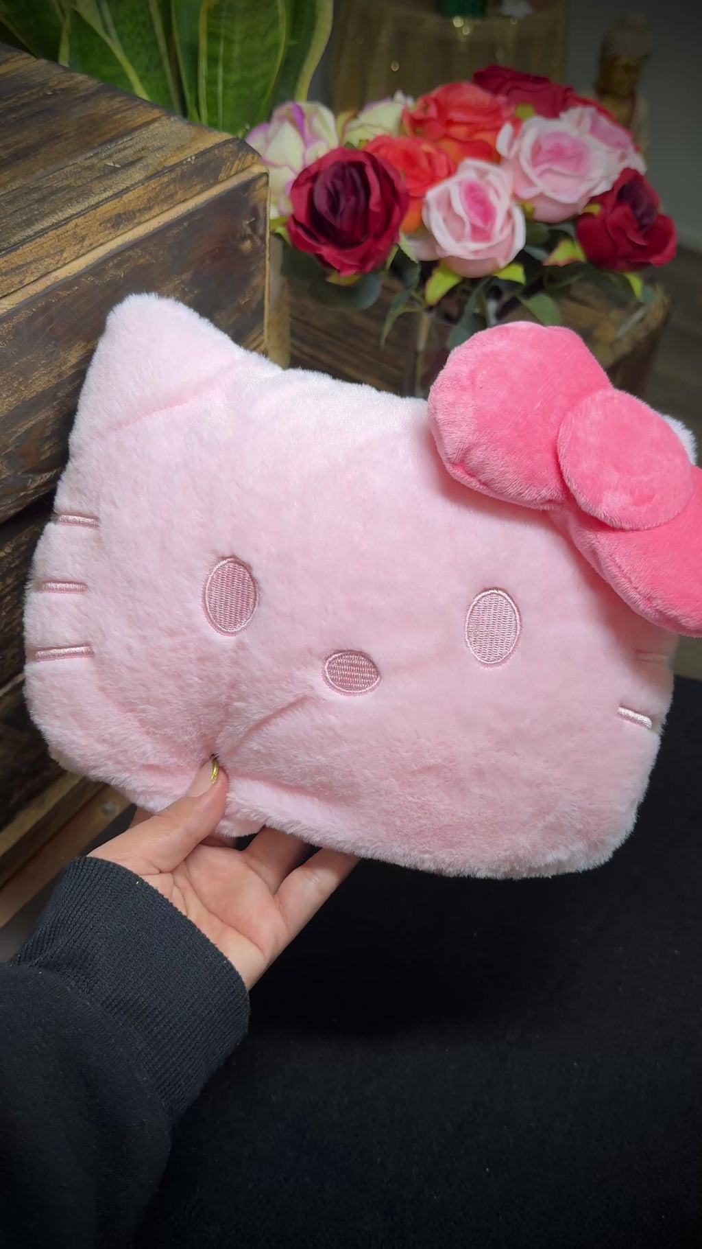 Hello Kitty Bag Pillow